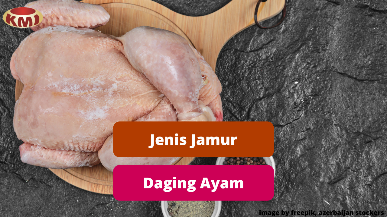 Beragam Jenis Jamur Yang Dapat Muncul Pada Daging Ayam